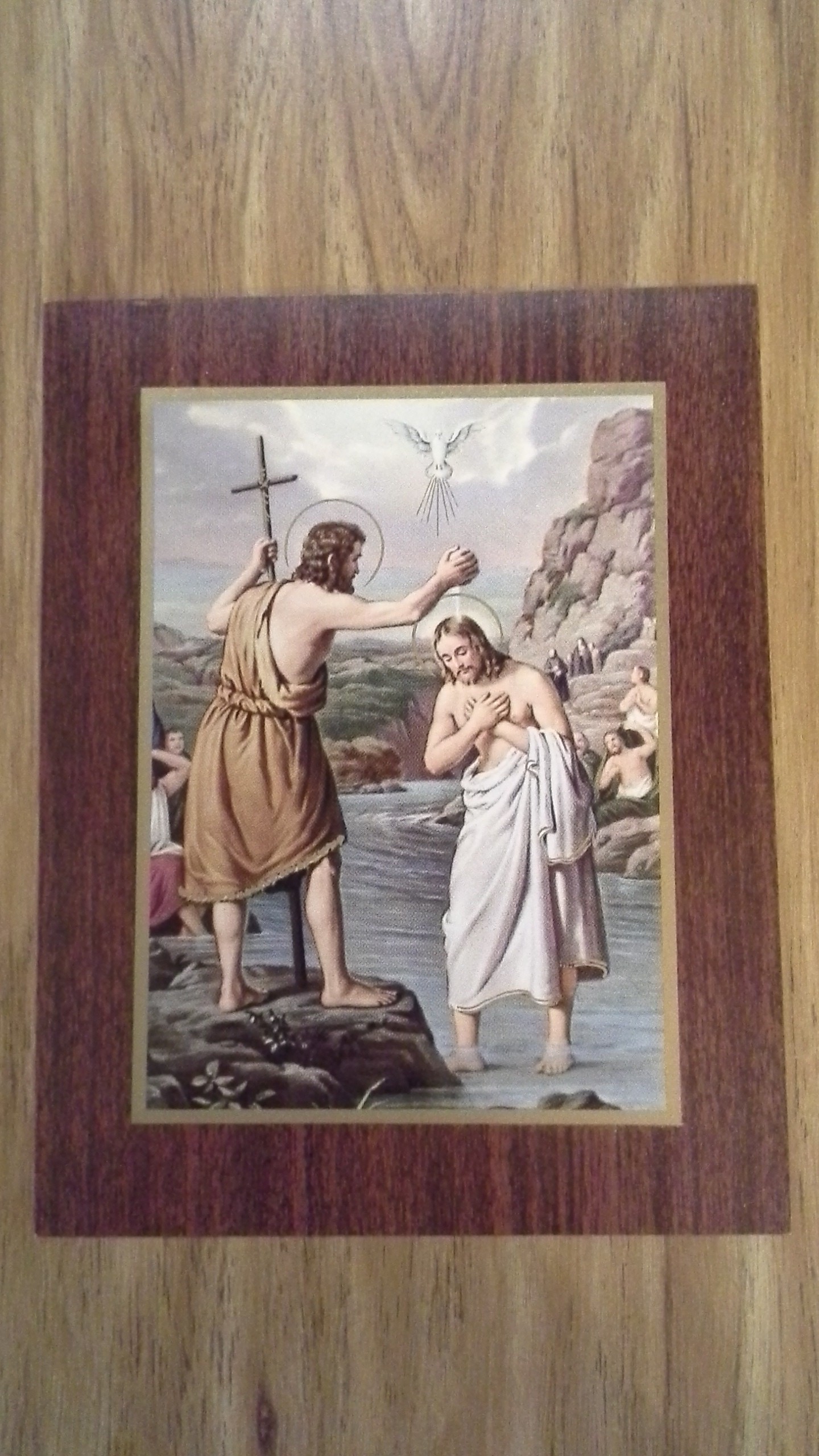 St John the Baptist 7 x 9 Print